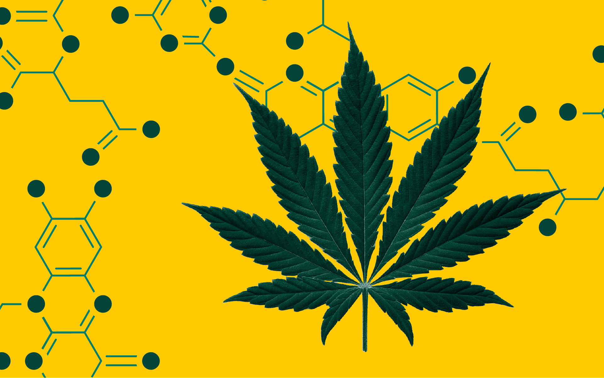 senyawa tetrahydrocannabiphorol yang lebih kuat dari THC